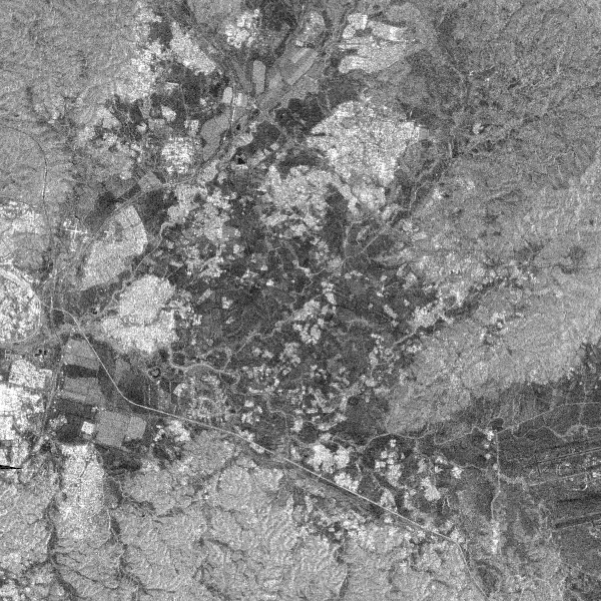 Live all-weather SAR basemap