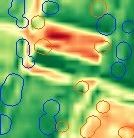 Field Anomaly Detection