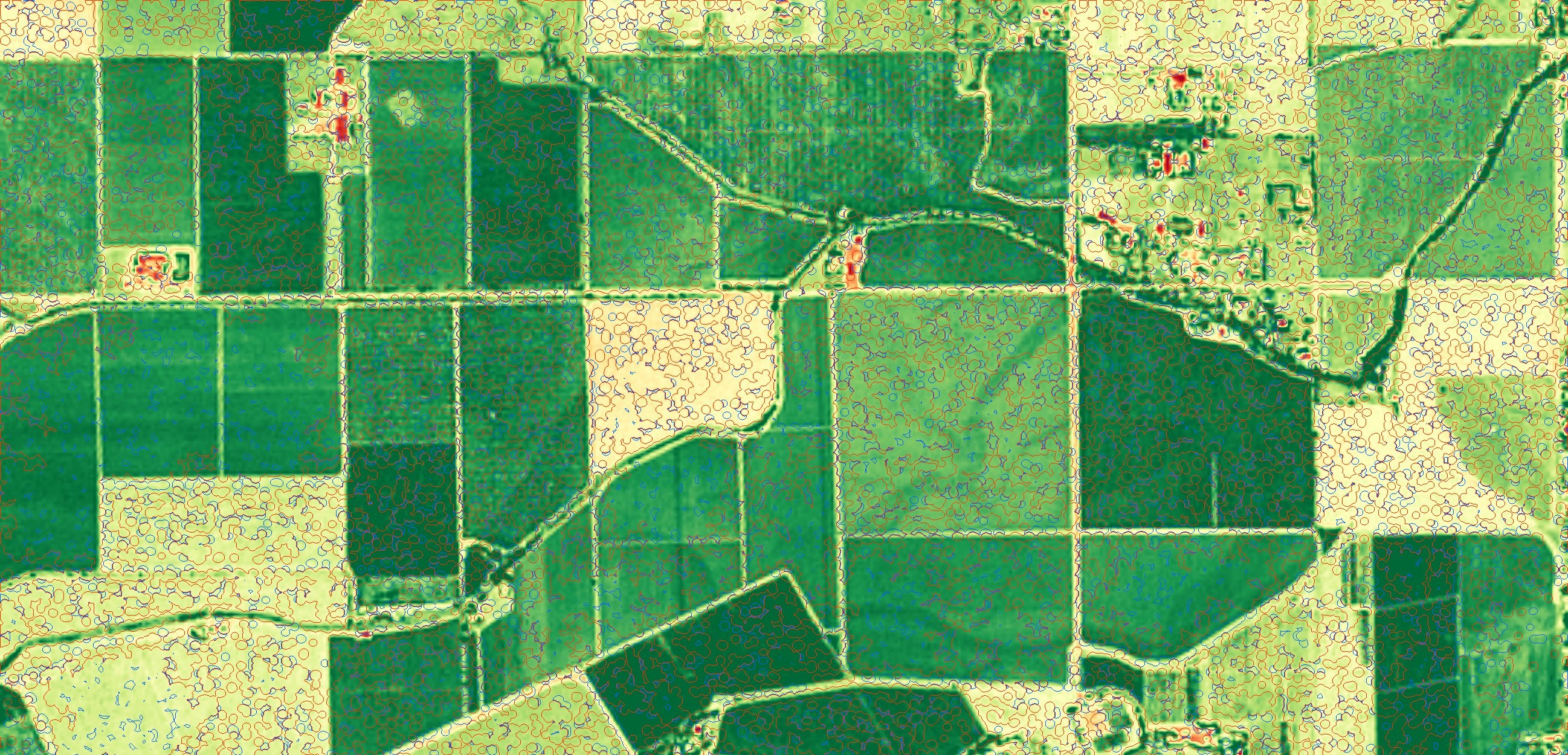 Davis, California, 11 to 18 Aug 2025 — growth anomalies at 2m (red: lower, blue: higher than expected)