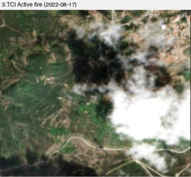 TCI active fire — 2022-08-17