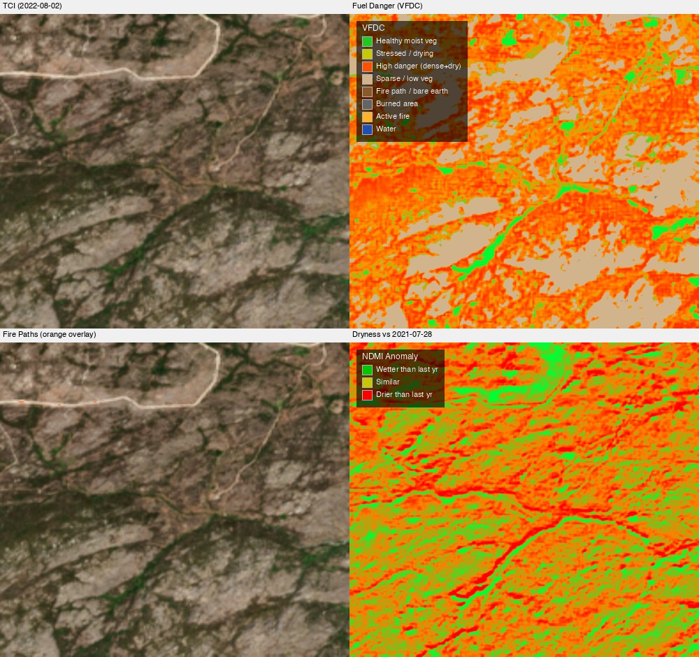 Pre-fire fuel danger, firebreaks and dryness vs last year — Serra da Estrela, Portugal, 2 Aug 2022