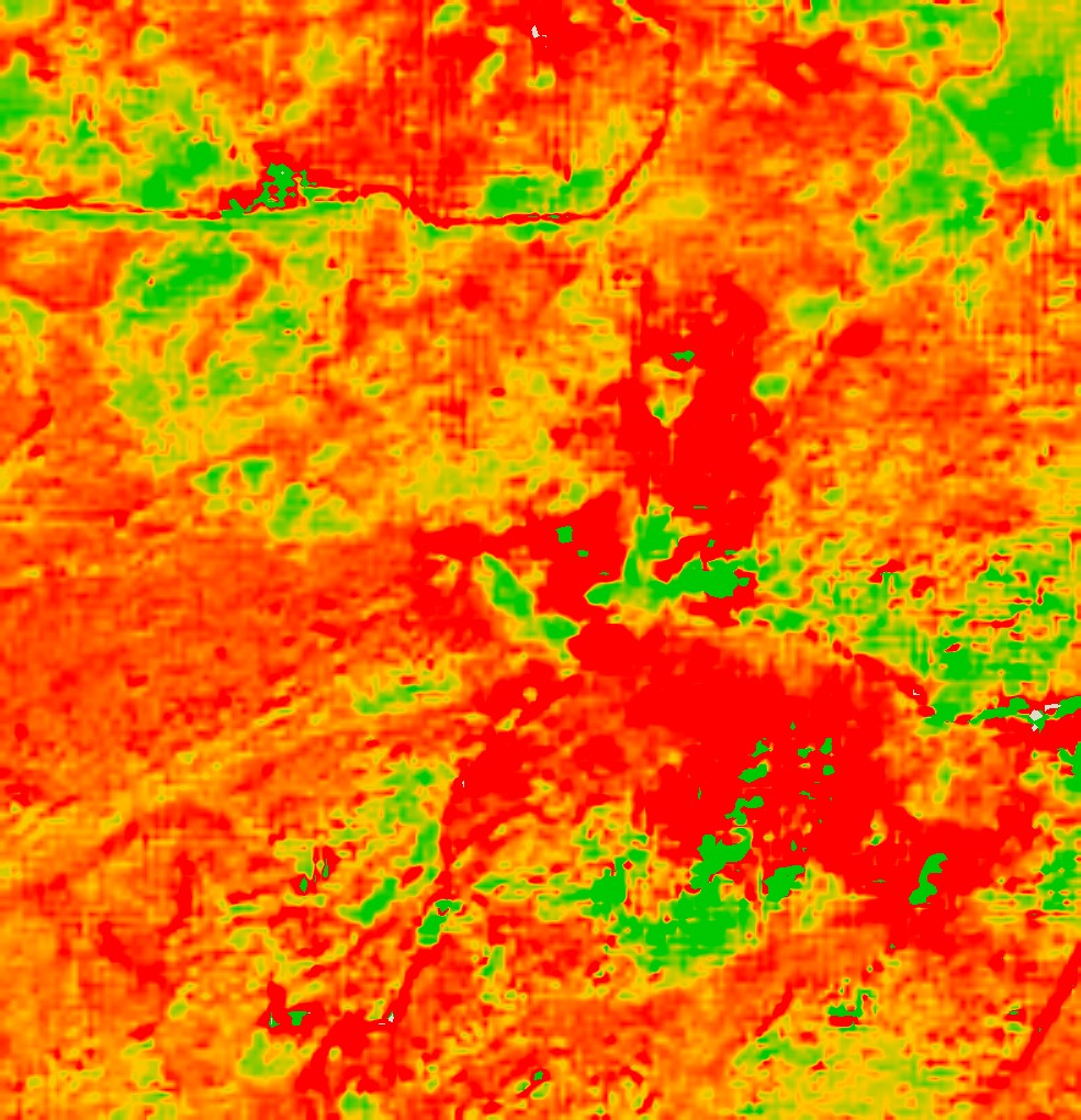 Vegetation recovery, November 2022