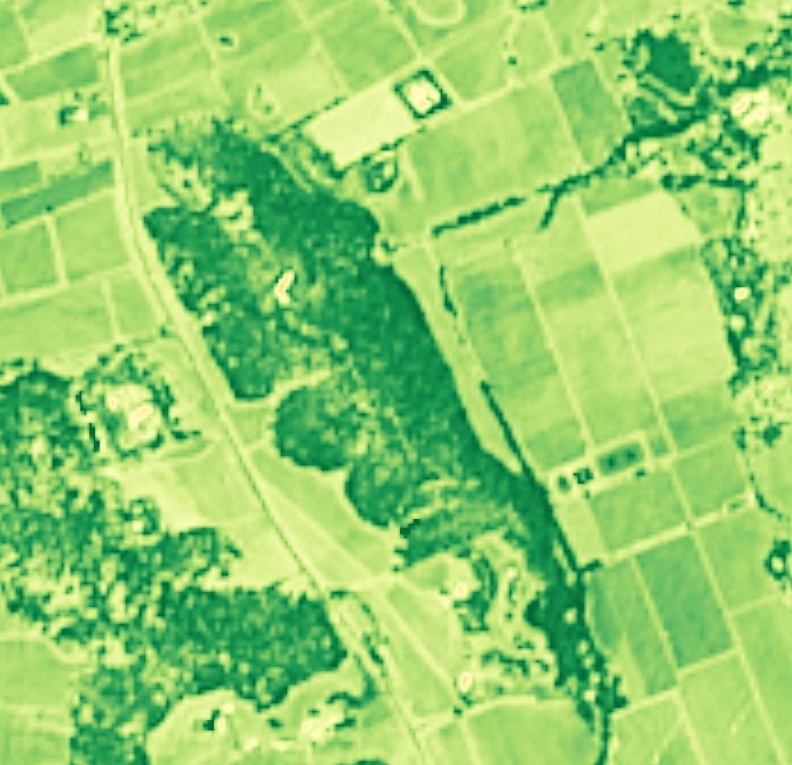 NDVI view — 2m multispectral