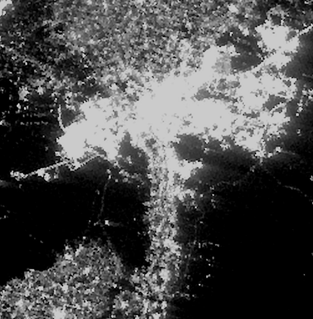 Cairo and the Nile — 125m, 16 Sep 2026