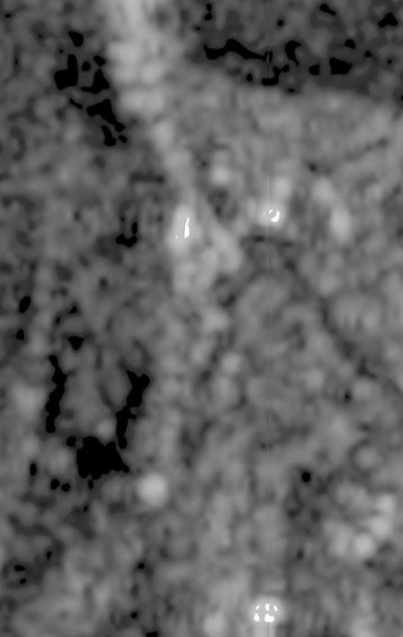 Enhanced SAR (2 m, all-weather)