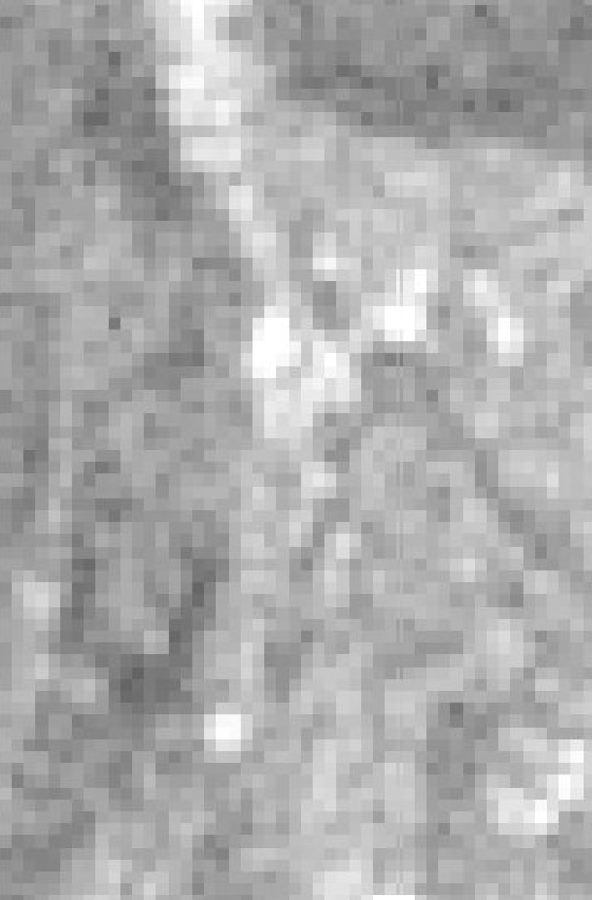 Source 10m