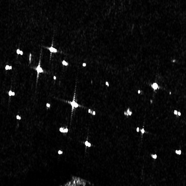 Ships at anchor, Singapore Strait — Sentinel-1 VV at 2.5m, 16 Sep 2026
