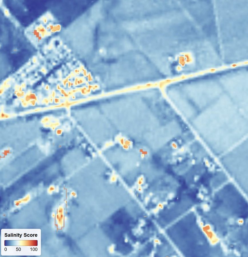 Napa Valley, USA — Soil salinity · 2m index