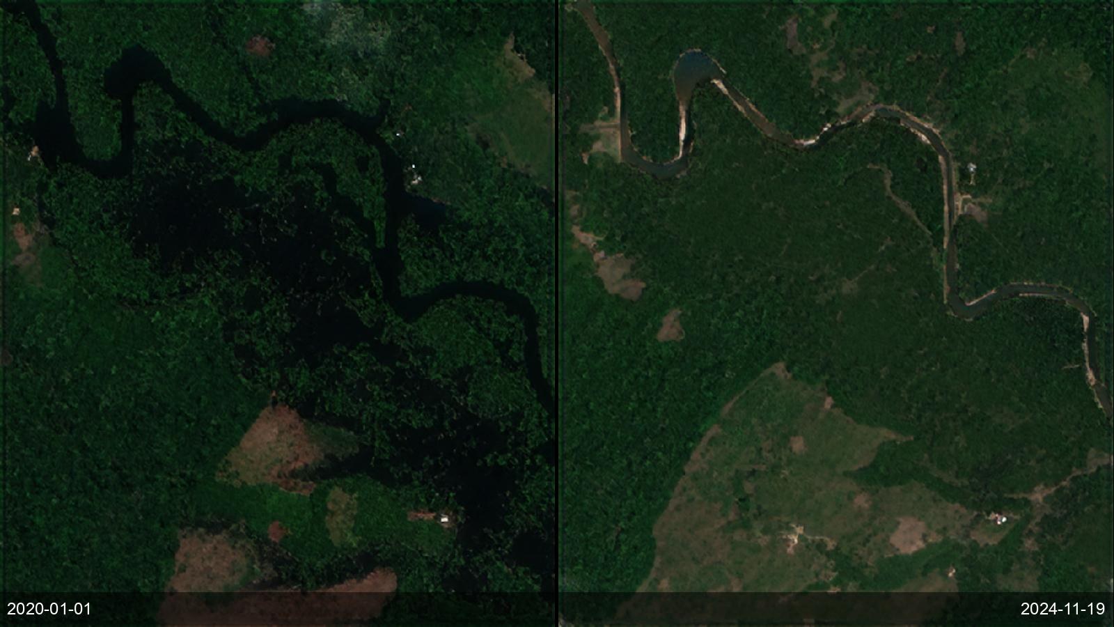 Deforestation and illegal-logging monitoring