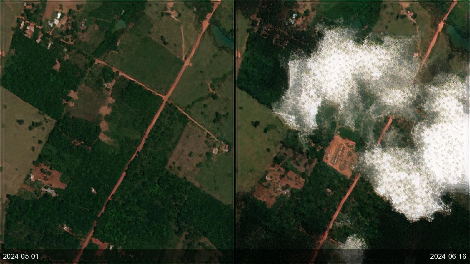 Illegal logging raids — Rondônia, Brazil