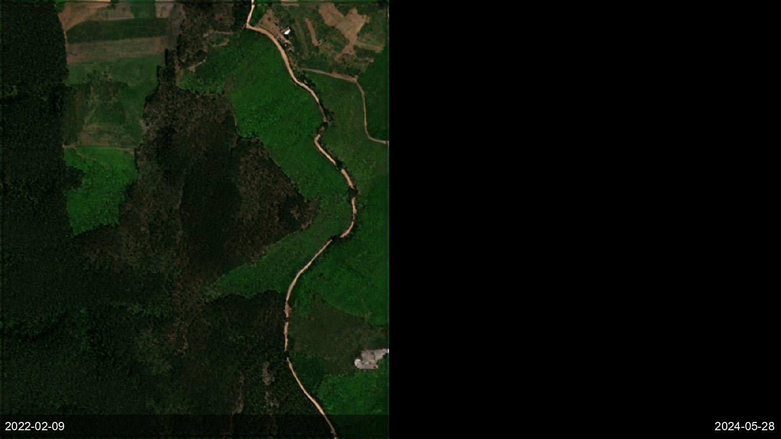 Deforestation — Rwanda