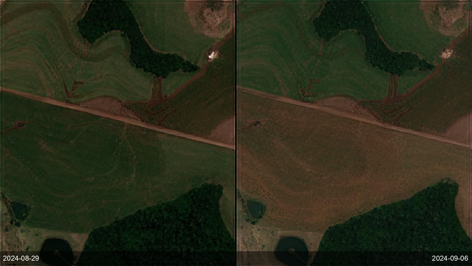 Frost, hail and drought damage assessment for crop insurance