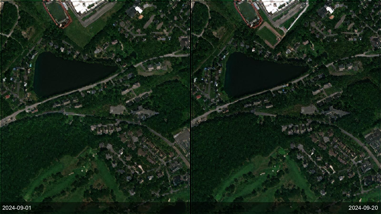 Vegetation regrowth over power line — Pennsylvania, USA
