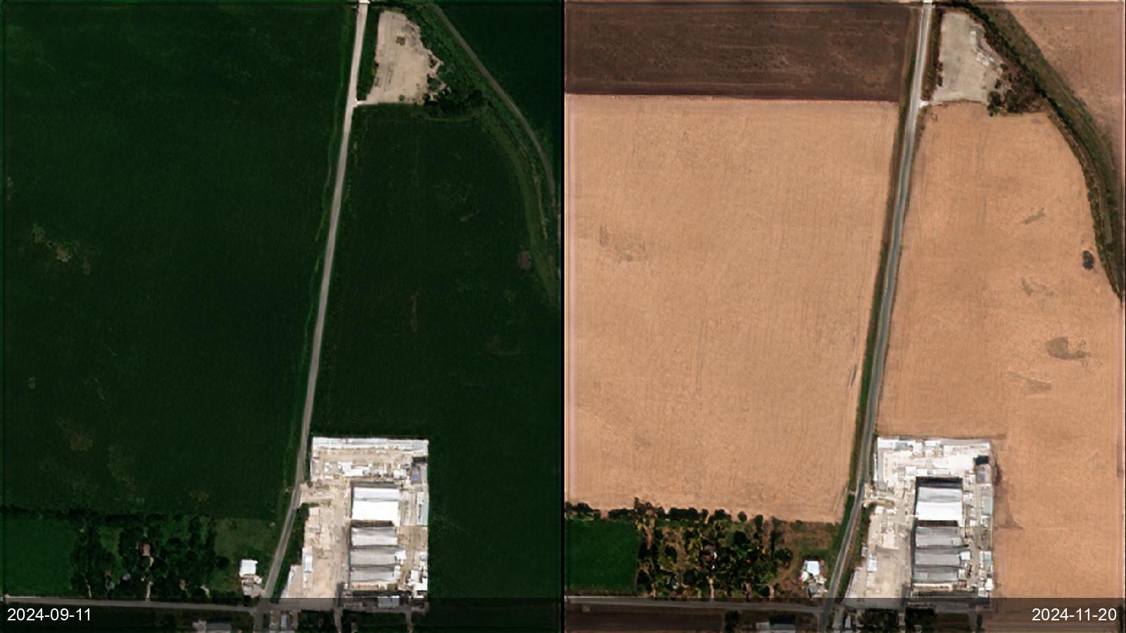 Yield, phenology and harvest monitoring